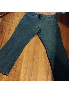 Passport Women Elastic Waistband Jeans No Zipper Size 16W